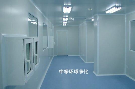 潔凈室廠房機(jī)房設(shè)備、管道布置設(shè)計(jì)